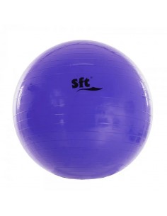 SOFTEE PELOTA PILATES...
