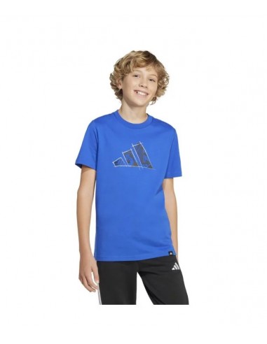ADIDAS CAMISETA PHOTO INFANTIL AZUL