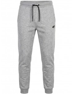 4F NOEL PANTALON GRIS