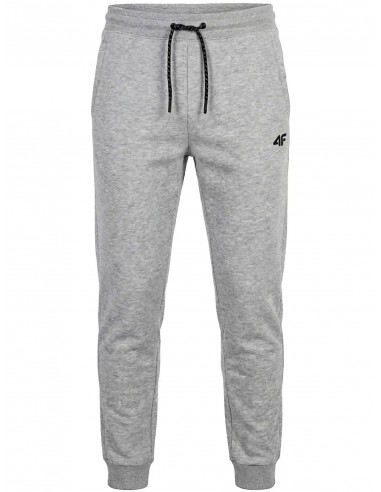 4F NOEL PANTALON GRIS